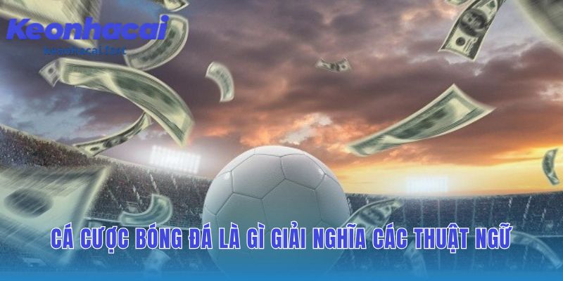 Giải nghĩa thuật ngữ xây dựng nền tảng ngôn ngữ chung