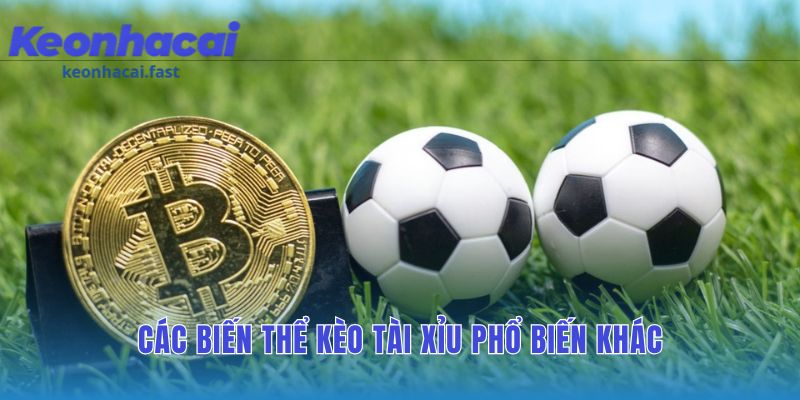 Các biến thể kèo tài xỉu mở rộng lựa chọn cược sang thẻ phạt