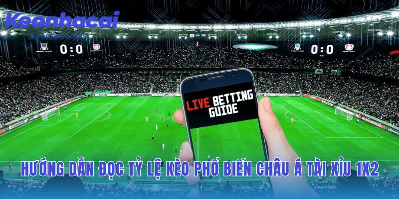 Hướng dẫn đọc kèo giúp chuyển phân tích thành lựa chọn