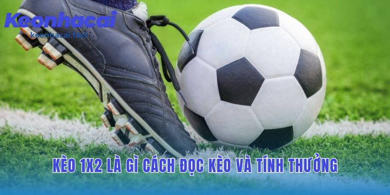 Đọc kèo 1x2: cách đặt cược và những sai lầm phổ biến cần tránh