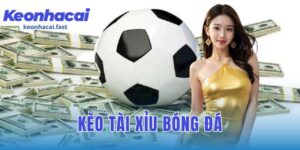 Kèo tài xỉu bóng đá: cách đọc kèo và chiến lược đặt cược