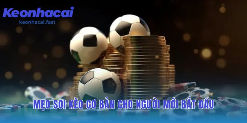 Hướng dẫn đọc kèo bóng đá: làm sao để nắm vững tỷ lệ kèo