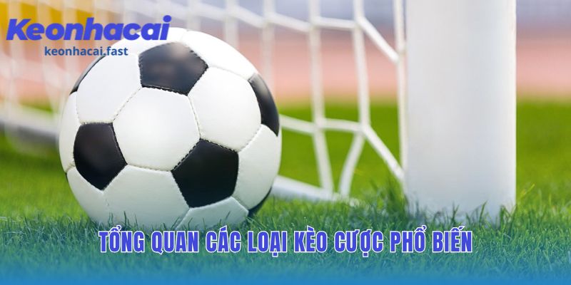 Các loại kèo cược phổ biến là nền tảng soi kèo vững chắc