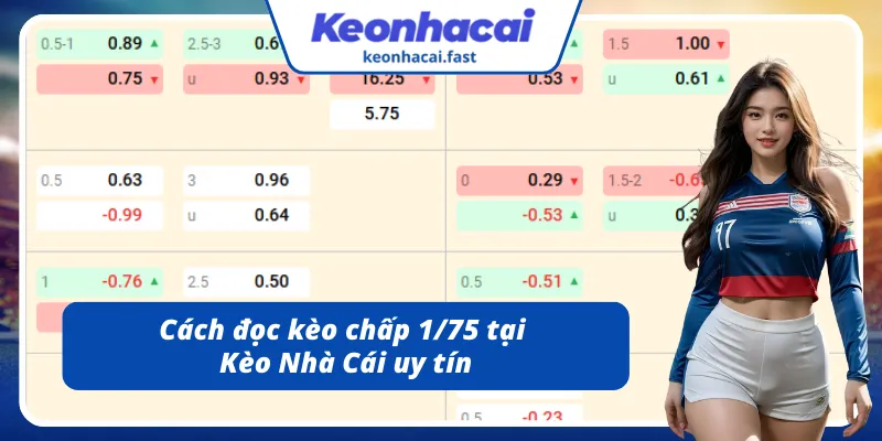 Cách đọc kèo chấp 1/75 tại thương hiệu uy tín